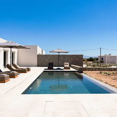 Villa Phoenix With Private Pool & Sea Views Near Naousa *