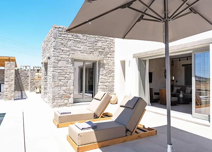 Phoenix With Private Pool & Sea Views Near Naousa Ampelas