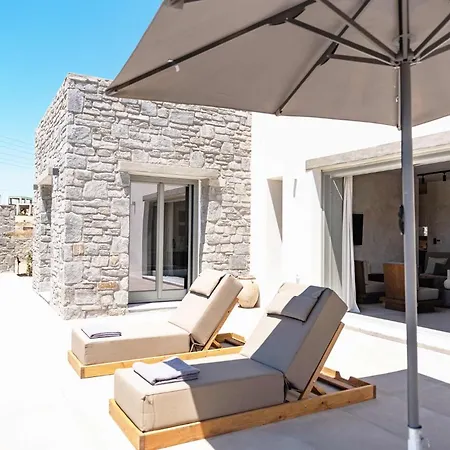 Phoenix With Private Pool & Sea Views Near Naousa Ambelas